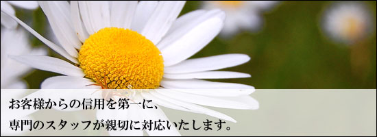 ���q�l����̐M�p����ɁA���̃X�^�b�t���e�؂ɑΉ��������܂�